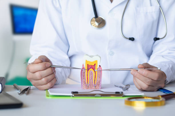 Best Root Canal Emergency Dentist  in Franklin, PA